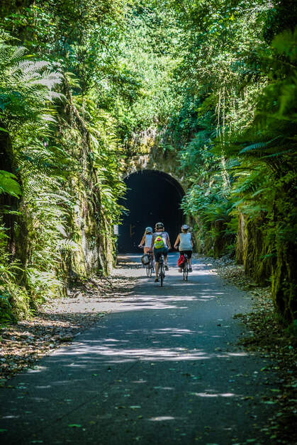 Waterford Greenway, Ballyvoyle Tunnel, Co Waterford_Social Media